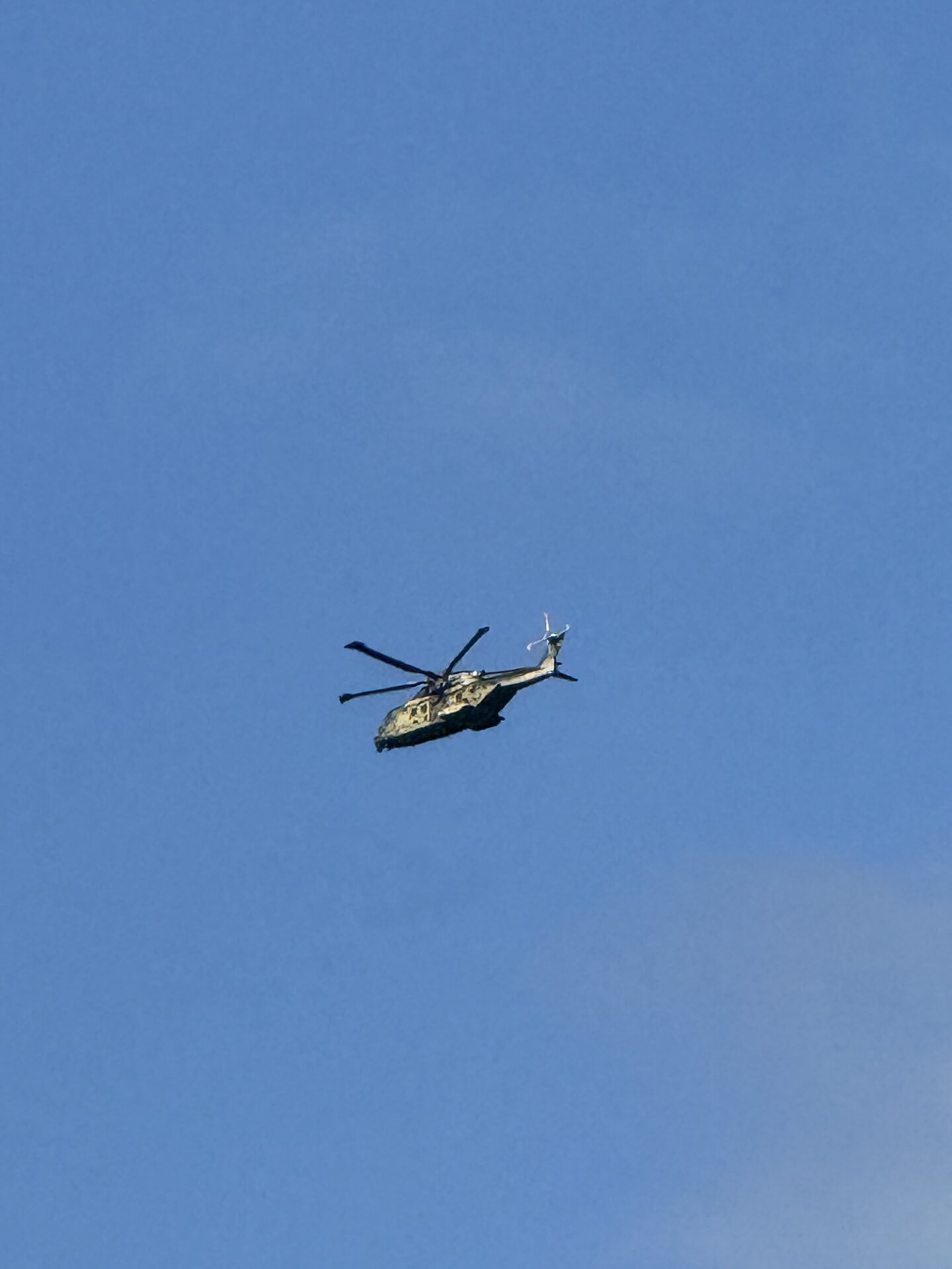 Spotting