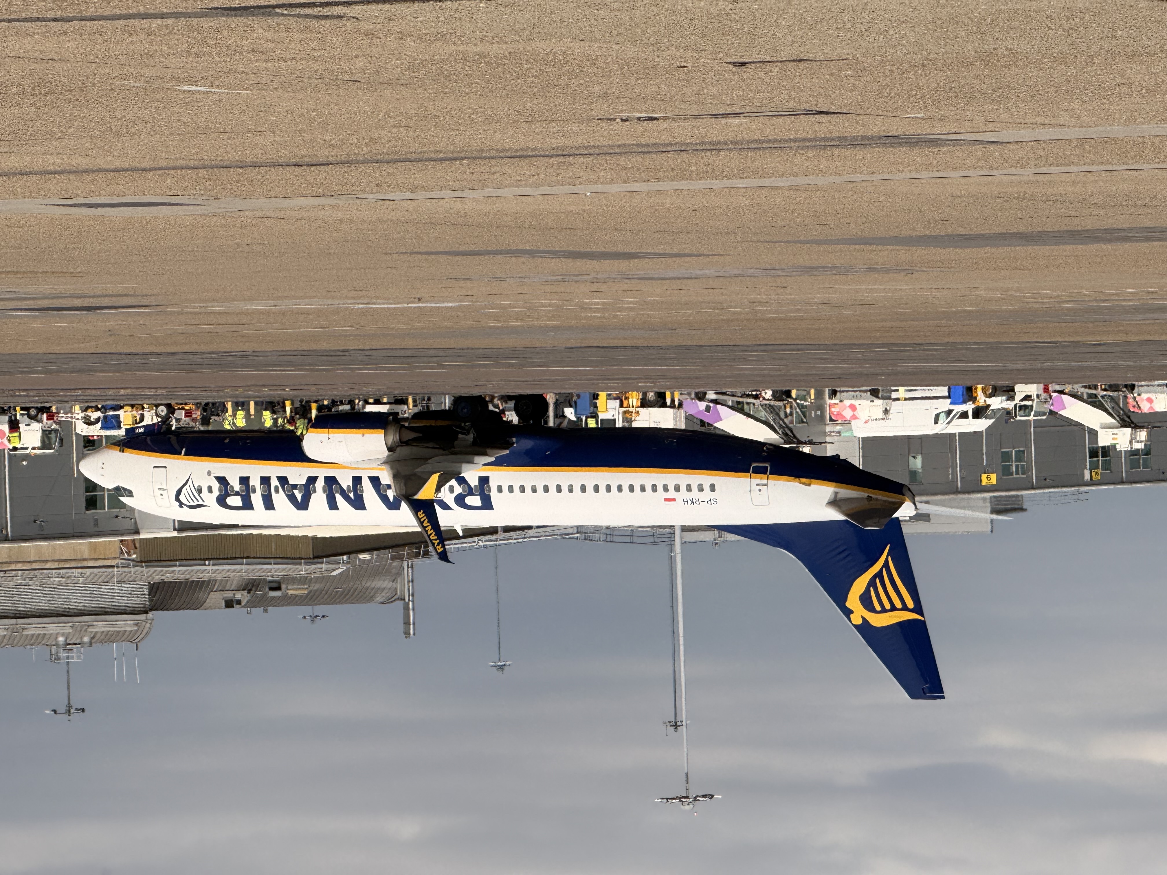 Spotting